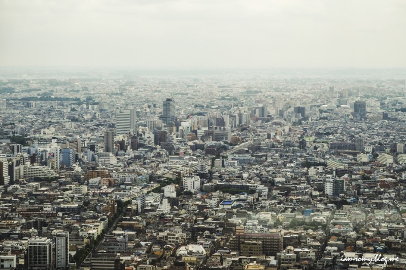 일본 도쿄 자유여행, 도쿄행 항공권 예약하고 싶은 도쿄여행지모음