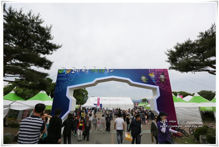 성주 성밖숲과 2018 성주생명문화축제