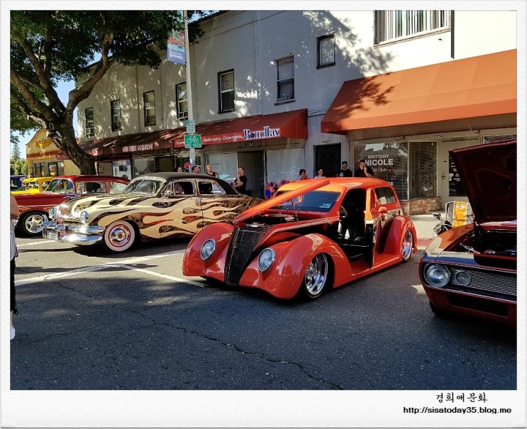 경희애문화 오늘의 인생사자성어 ​십일지국(十日之菊) 제때가 지나 이미 소용이 없게 된 뜻이다 ​  