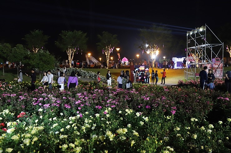 울산여행 울산대공원 장미축제 야간개장