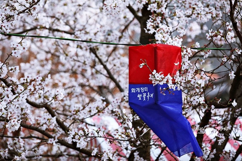 하동여행, 하동호텔  켄싱턴 리조트 하동