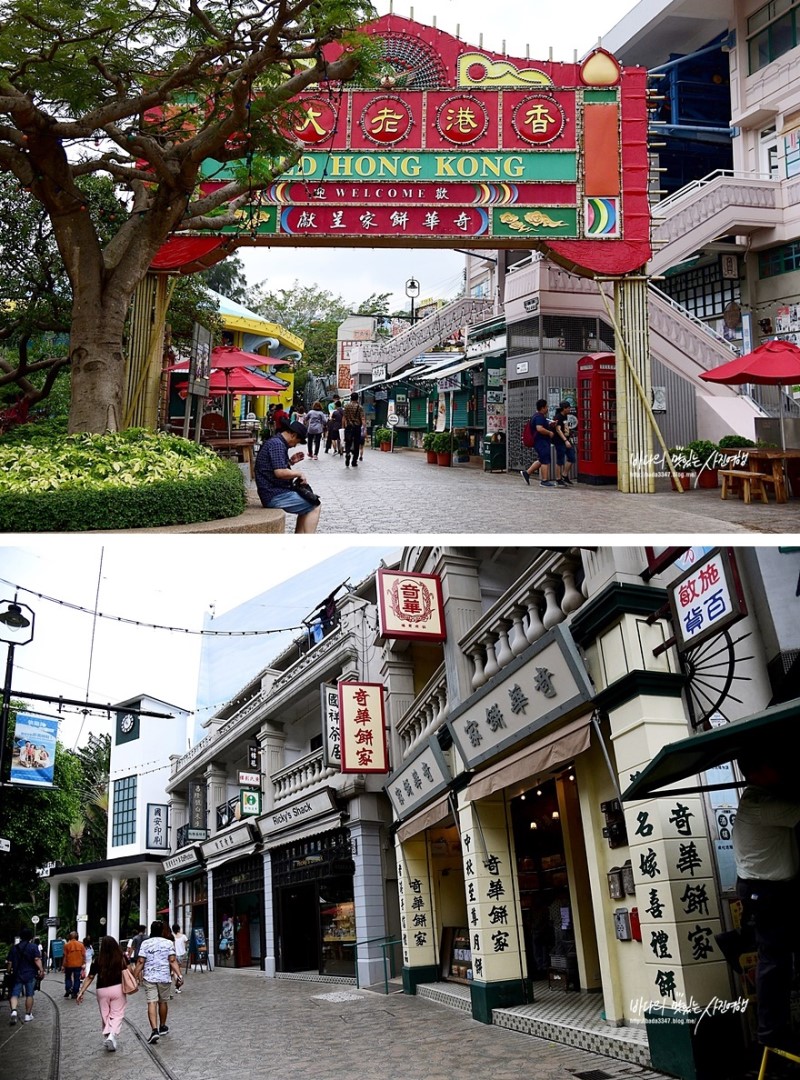 홍콩 가볼만한곳, 신나게 즐기는 홍콩오션파크