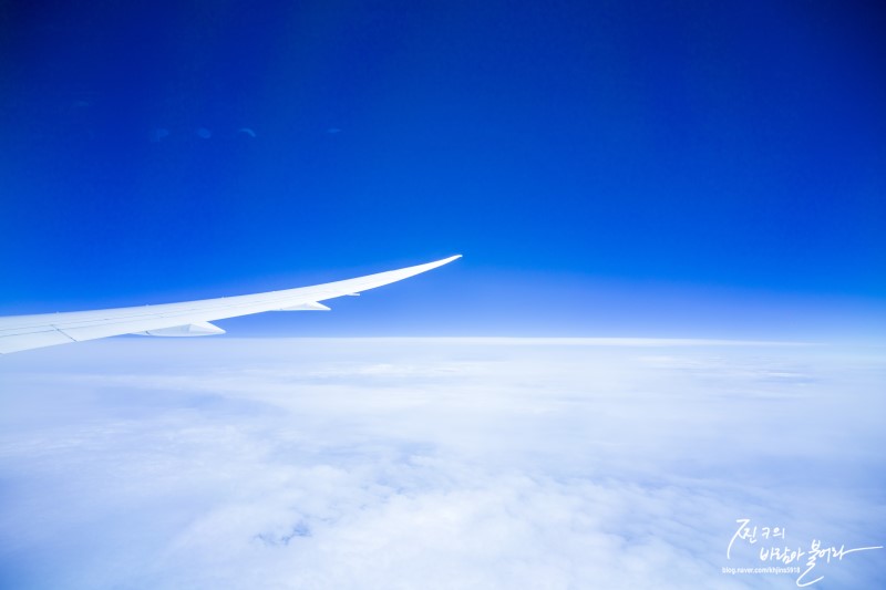 에어캐나다 보잉 787 드림라이너 토론토-인천 탑승 후기 !