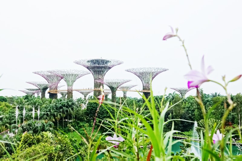 싱가포르 가든스바이더베이 식물원 & 유니버셜 스튜디오 가는방법, 입장권 구입