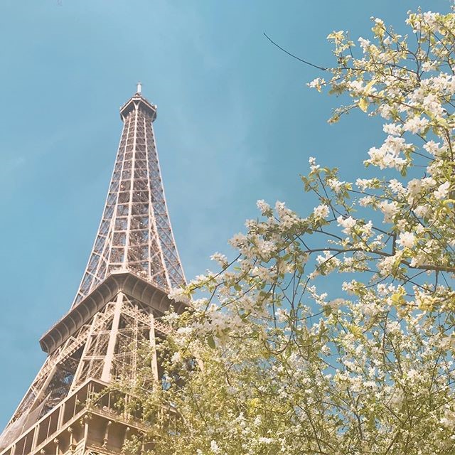 [라이브방송 예고] 유럽여행, 특히 파리 여행에 관한 인스타 라이브