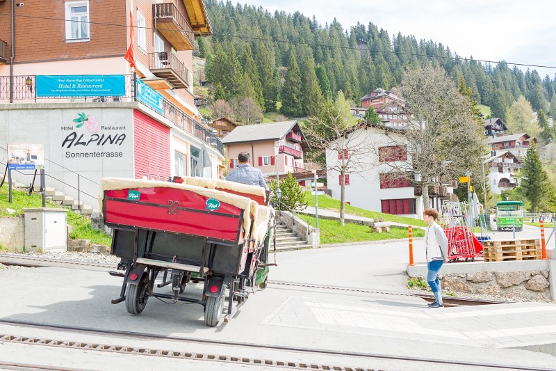 [스위스 여행] 루체른 당일치기 리기산 / 스위스패스 등산열차