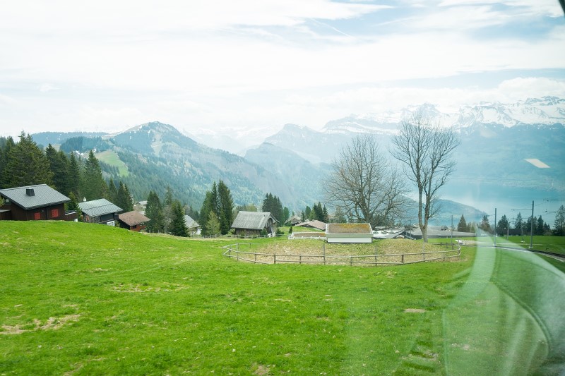 [스위스 여행] 루체른 당일치기 리기산 / 스위스패스 등산열차