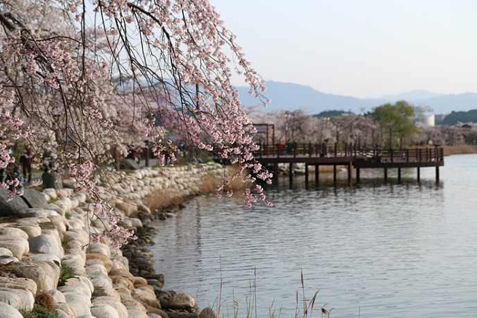 강원도 강릉숙소 알아보기 : 경포대 근처 펜션과 호텔