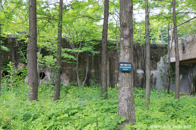 서울 사진찍기 좋은곳 선유도공원 나들이 