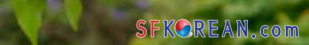 오늘의 SF.KOREAN  스타강사 김미경의 월드 투어 토크쇼