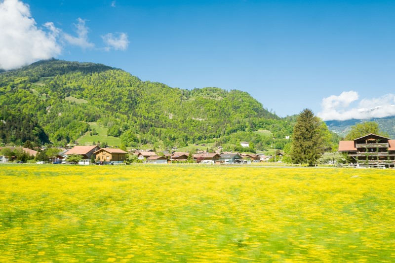 [스위스 여행] 스위스패스로 인터라켄 동역에서 융프라우 가는법