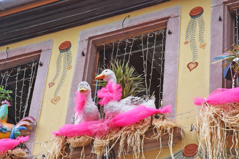 프랑스 여행 1년에 단 한번, 리보빌레 장미축제에 가다