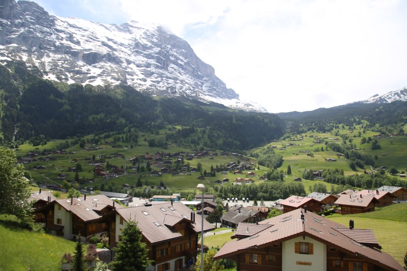 스위스 여행 : 눈이 행복했던 7박8일 (프롤로그)