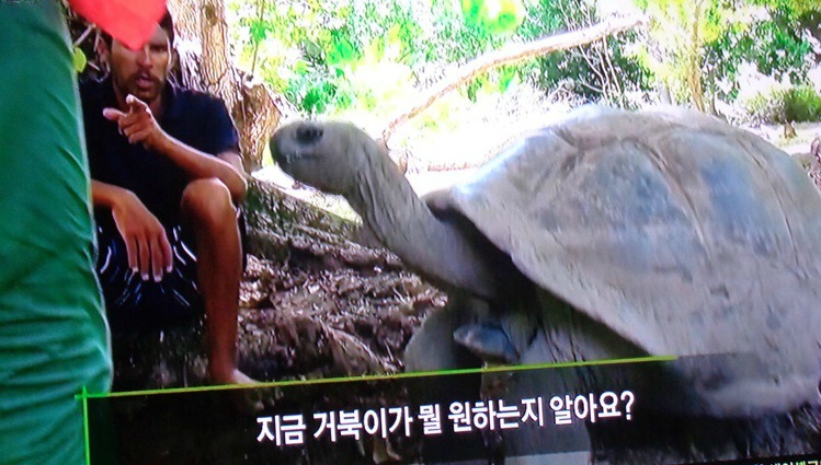  세이셸 군도는 바다 새의 보호구역