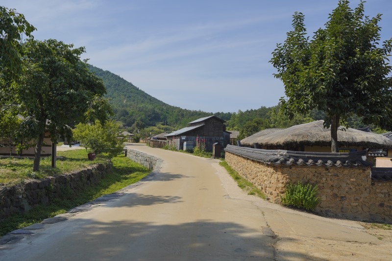 라벤더와 바다로 완성시키는 꿀휴가 고성 여행 코스