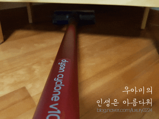 다이슨 v10 무선청소기 댕댕이 봉구와 함께 집안청소♥