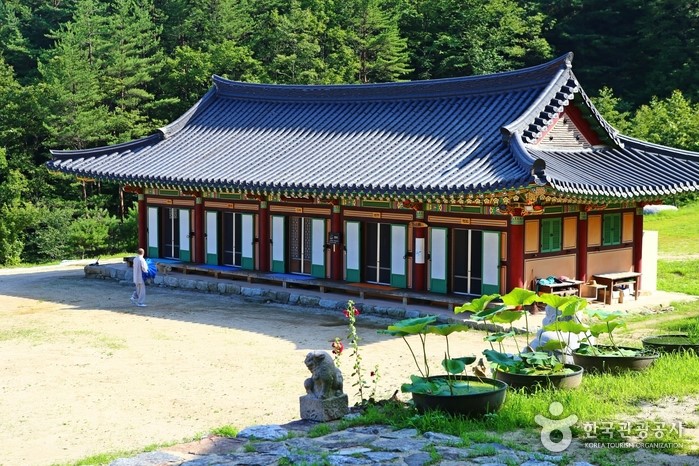 스님이 볶은 커피를 마실 수 있는 강릉 현덕사 템플스테이