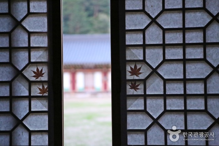 스님이 볶은 커피를 마실 수 있는 강릉 현덕사 템플스테이