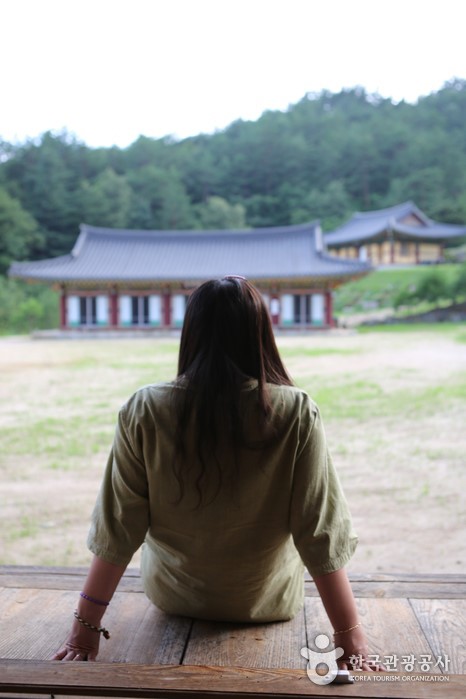 스님이 볶은 커피를 마실 수 있는 강릉 현덕사 템플스테이