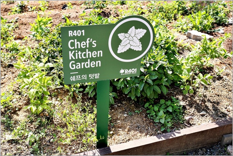 서울근교가볼만한곳 성격유형을 분석하는 공원
