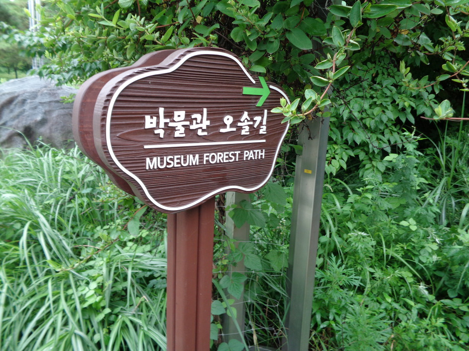  국립중앙박물관의 푸른  용산가족공원