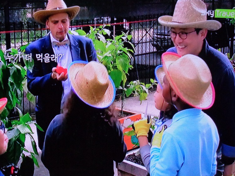  뉴욕에서 학생들과 유기농 채소 재배