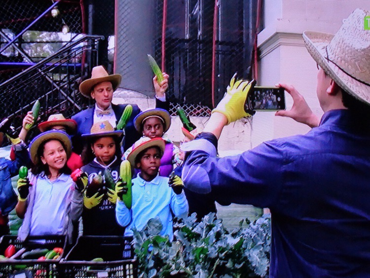  뉴욕에서 학생들과 유기농 채소 재배