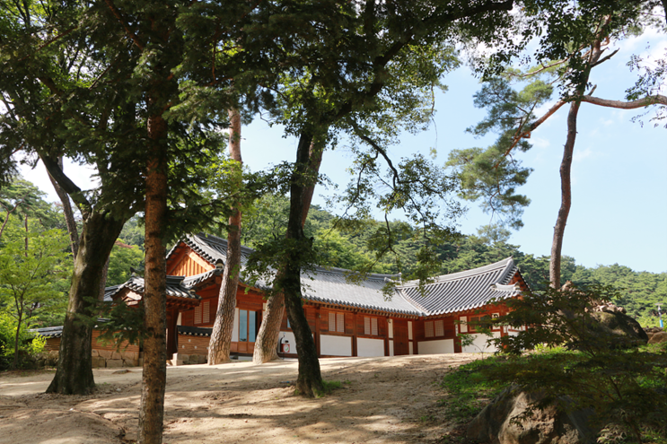 김천 가볼만한곳 김천 직지사 탐방  