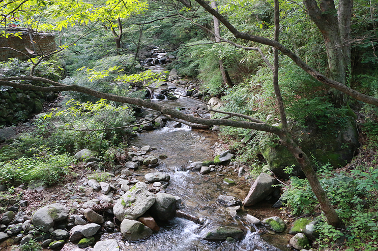 김천 가볼만한곳 김천 직지사 탐방  