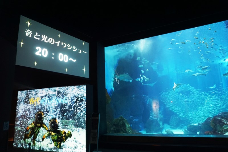 후쿠오카 자유여행 가볼만한곳 마린월드 야간개장 밤의 수족관