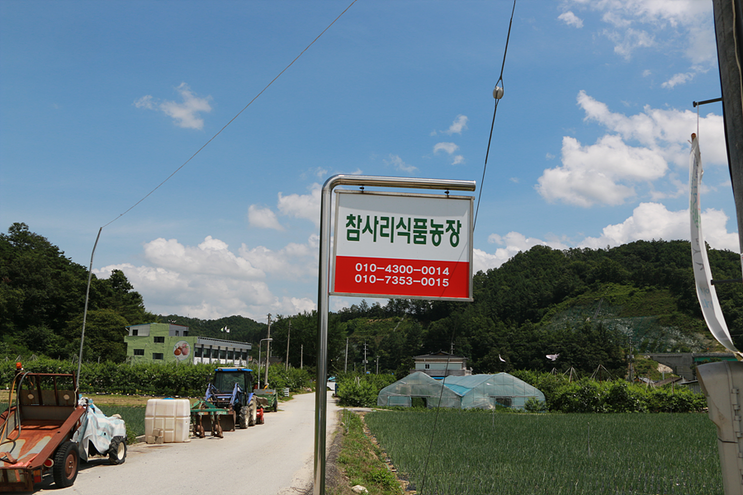 김천 복숭아 직거래 백도 농부에게 감사의 마음을 전해요. 