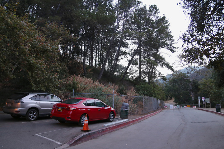 헐리우드 사인(Hollywood Sign) 아침 등산, 주차가 편리한 브러시캐년 트레일(Brush Canyon Trail)