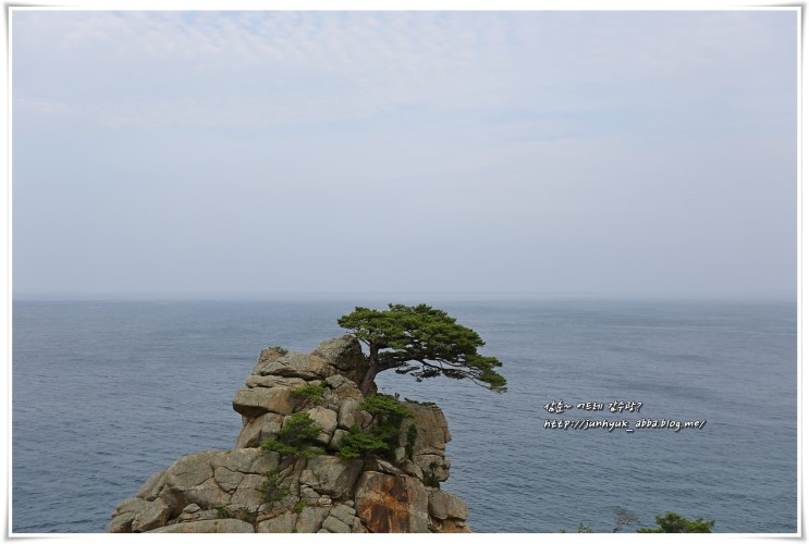 강원도 양양여행 가볼만한곳 하조대