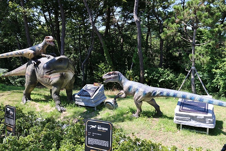 부산 송도해상케이블카 암남공원 공룡 보고 전망대까지...