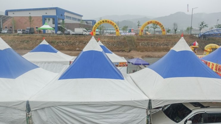 횡성나들이 한우 불고기 냠냠! 둔내고랭지토마토 축제 알아보기