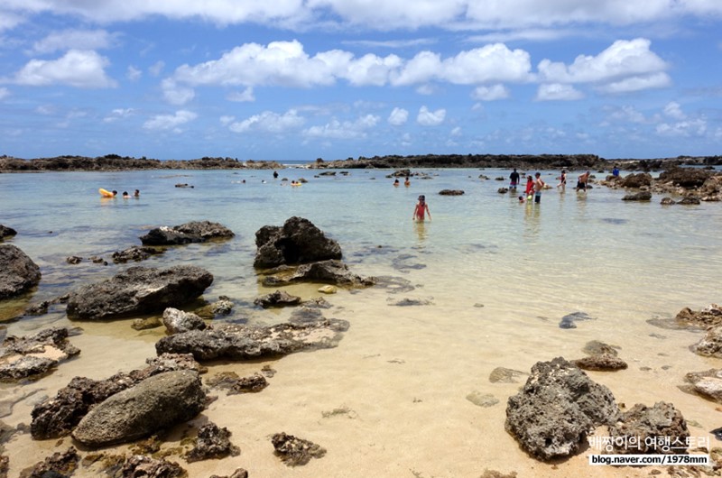 하와이안항공 서비스 팁 & 하와이 가족여행 가볼만한 곳 : 하와이 여행