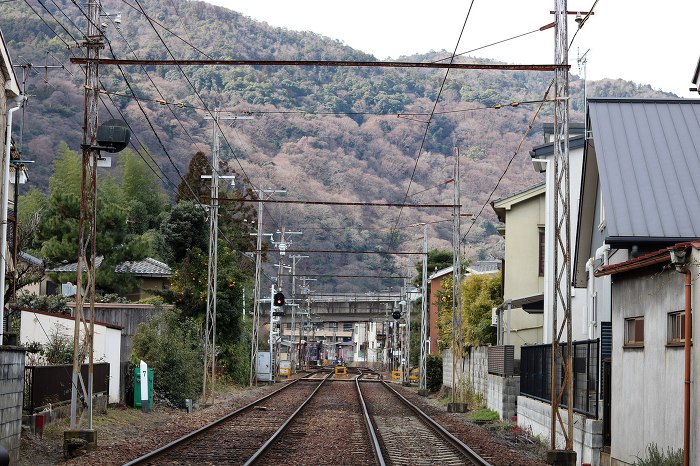 [교토여행]란덴열차 타고 아라시야마까지#교토감성#꼬마전차#쓰루패스