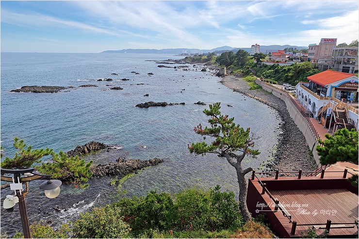 경주 여행코스 주상절리 전망대 바다 보러 가볼만한곳