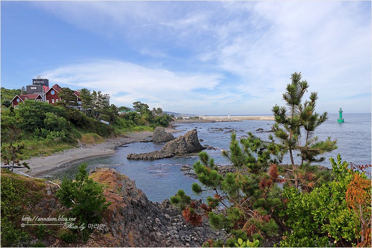 경주 여행코스 주상절리 전망대 바다 보러 가볼만한곳