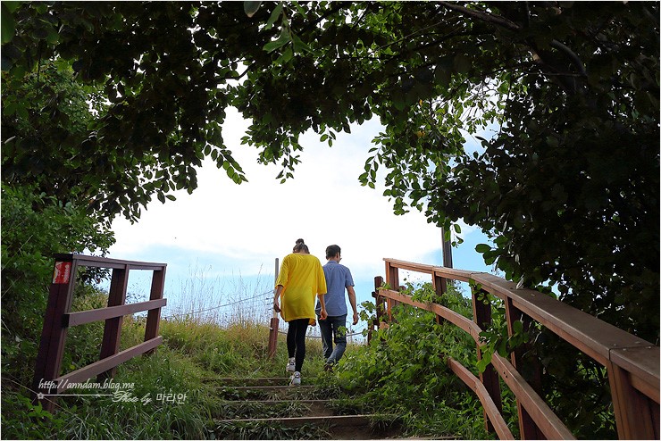 경주 여행코스 주상절리 전망대 바다 보러 가볼만한곳