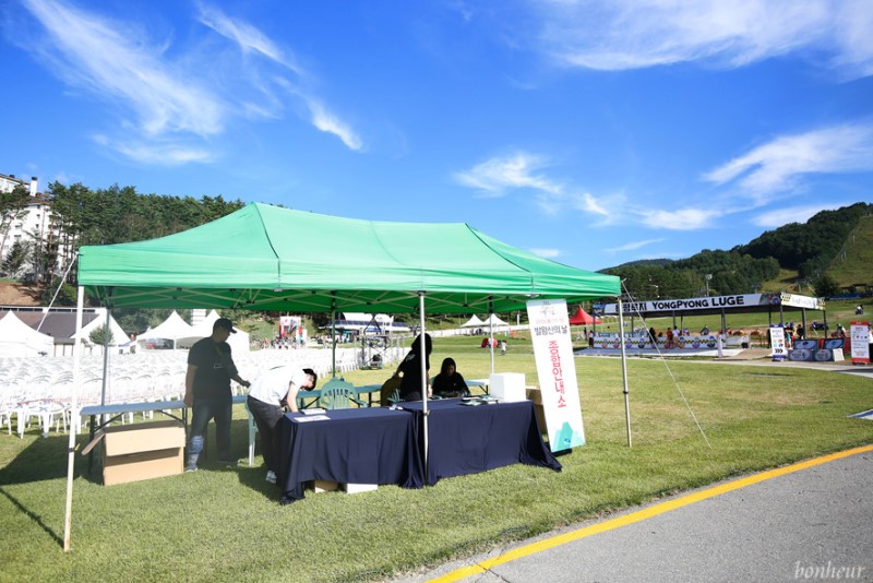 용평리조트 발왕산 관광케이블카와 루지 꿀잼!