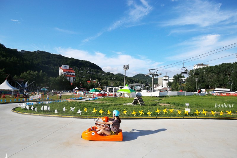 용평리조트 발왕산 관광케이블카와 루지 꿀잼!