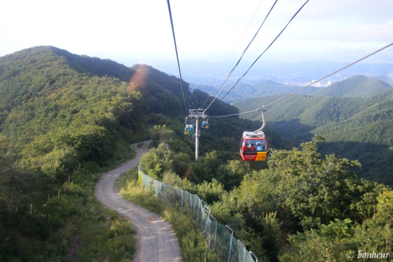 용평리조트 발왕산 관광케이블카와 루지 꿀잼!