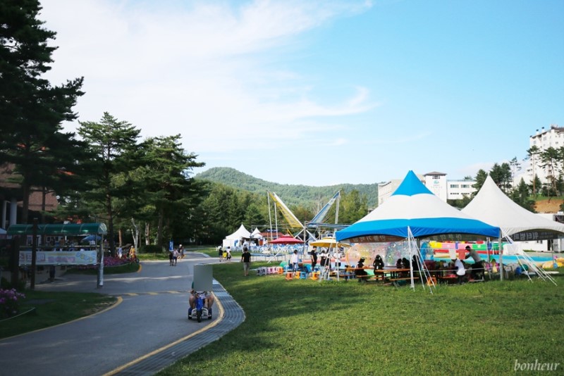 용평리조트 발왕산 관광케이블카와 루지 꿀잼!