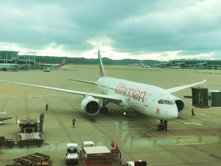 에티오피아항공 타고 도쿄여행 출발!!