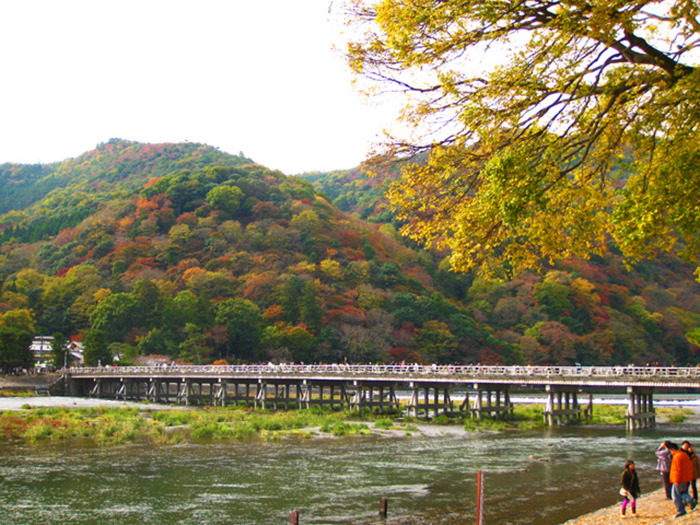 [교토여행]가을단풍에 취하는 아라시야마 여행
