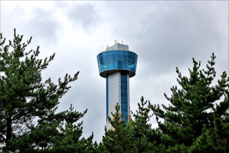 국내 추천 여행지, 산책코스 울산대교 전망대!