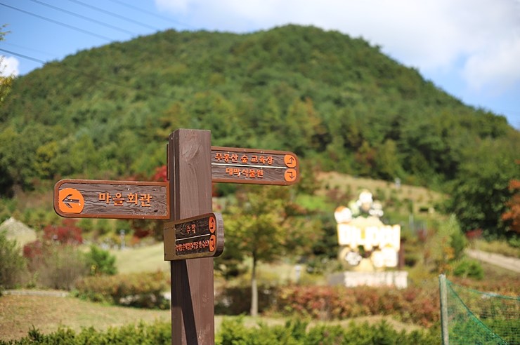 충북 보은여행 : 신개울마을과 보은미니어처공원 가족여행