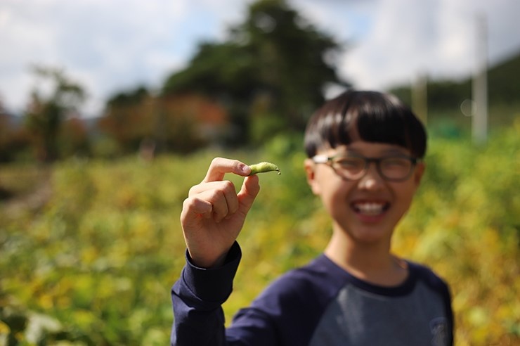 충북 보은여행 : 신개울마을과 보은미니어처공원 가족여행