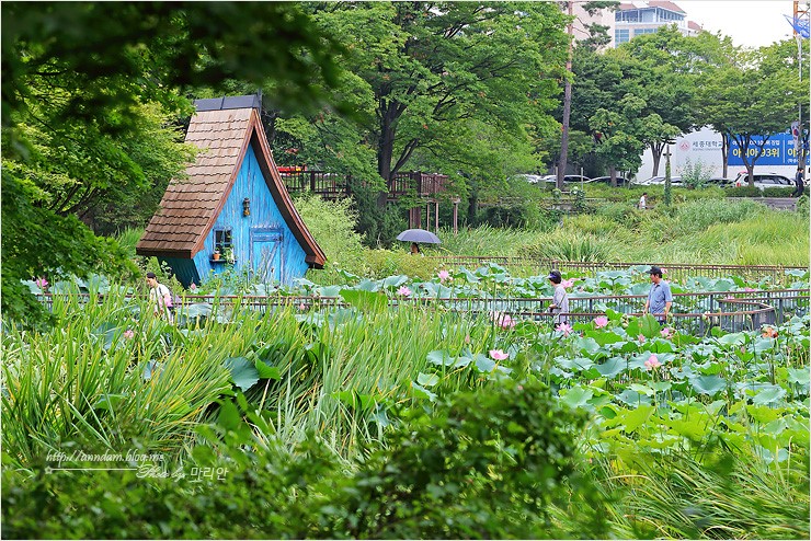 서울 지하철 여행 5호선 7호선 옆 세상에서 가장 큰 놀이터